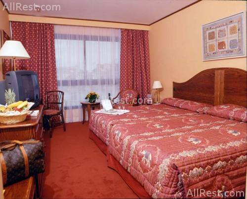 Hotel Holiday Inn Nice 9
